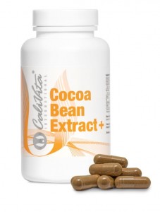 cocoa bean extract +
